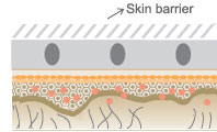 Пилинг мягко поглощает и удаляет загрязнения из кожи во время массажа