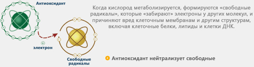 Донором электронов является. Витамин с Атоми. Витамин с Atomy Vitamin Color food c. Витамин с Атоми картинки. Витамин с Свободный электрон.