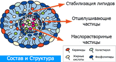 Фосфолипиды — аналогичная коже структура и множество мягких капсул